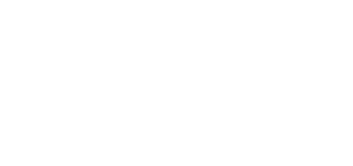 Levelit Builders Logo in white